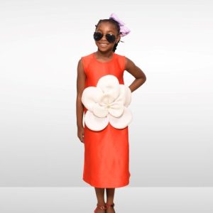 Petal Pop Party Dress (Red)